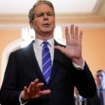 EU atribuye alza de precio de carne a migración y plaga ganadera