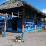 Roban cocodrilo fosilizado en museo comunitario de Mazatán, Chiapas