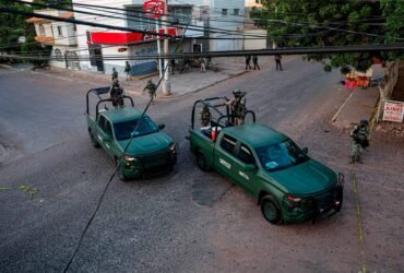 Ejército y Guardia aseguran precursores químicos en Sinaloa