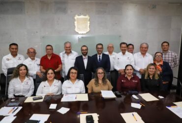 comité de salud mental