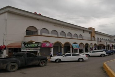 Mercado Santander de Altamira abre espacios a productores locales