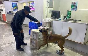 Guardia Estatal refuerza vigilancia con binomios caninos en Victoria