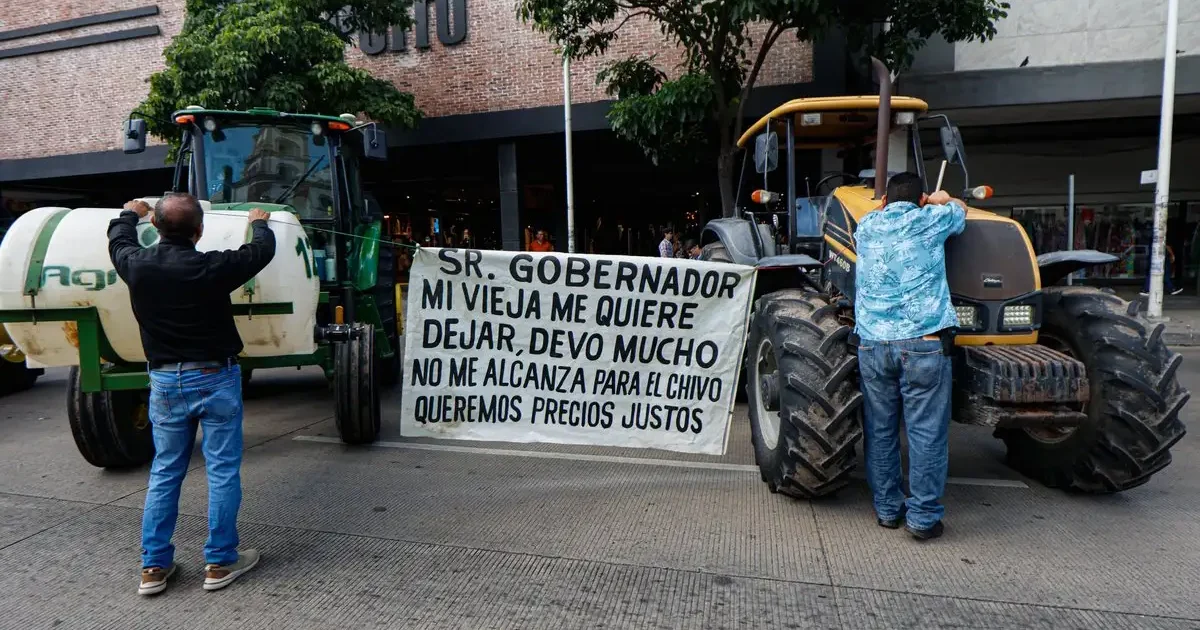 Crisis agraria en Sinaloa: productores pierden patrimonio