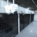 Policía de Torreón asumirá control y vigilancia de celdas municipales