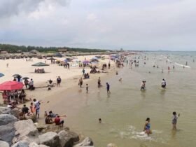 Miles disfrutan conciertos y actividades gratuitas en playas de Tamaulipas