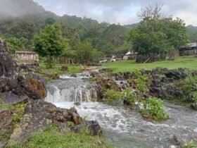 Tamaulipas, nominado en cuatro categorías de Lo Mejor de México 2026