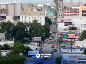 Comercios afiliados a CANACO Victoria sin daños tras robos recientes
