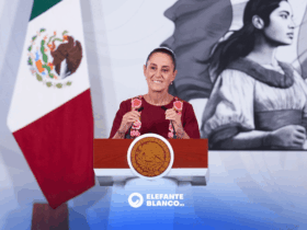 Sheinbaum visitará Tamaulipas para inaugurar hospitales y obras