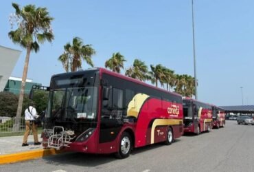 Ciudad Victoria lanza ruta gratuita con autobuses híbridos Yutong