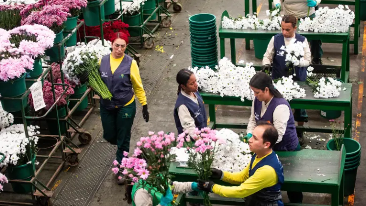 Colombia exporta 330 millones de flores a EE UU por Día de la Madre