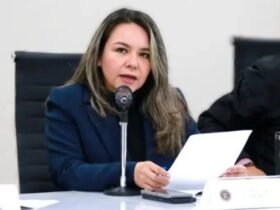 Diputada impulsa ley para acompañamiento familiar en hospitales