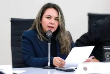Diputada impulsa ley para acompañamiento familiar en hospitales