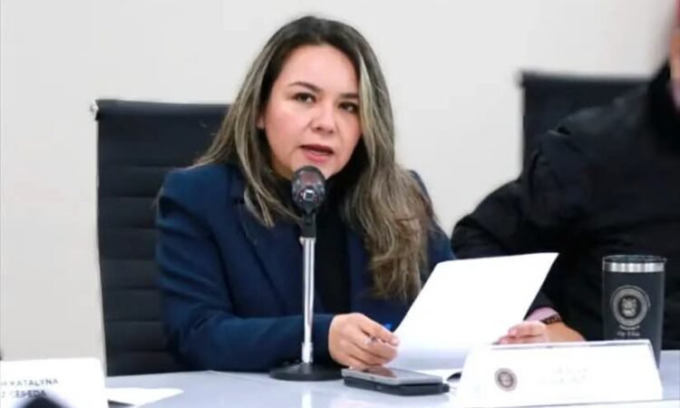 Diputada impulsa ley para acompañamiento familiar en hospitales