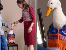 Merlín, el pato embajador de FIFA 2026, visita a Sheinbaum