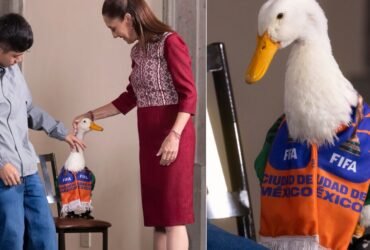 Merlín, el pato embajador de FIFA 2026, visita a Sheinbaum