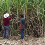 Supervisan funcionamiento del Tribunal Agrario en Ciudad Victoria