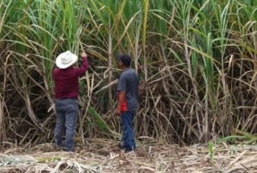 Supervisan funcionamiento del Tribunal Agrario en Ciudad Victoria