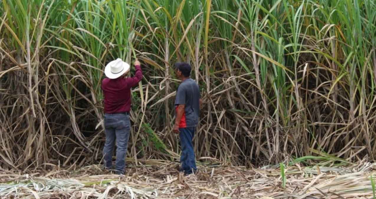 Supervisan funcionamiento del Tribunal Agrario en Ciudad Victoria