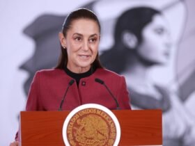 México reanudará exportación de ganado a EE UU en agosto