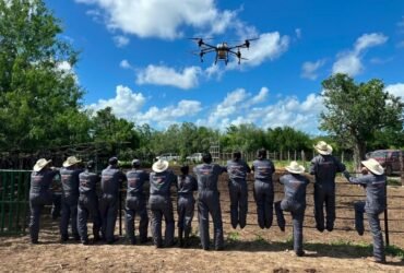 UAT refuerza brigadas contra gusano barrenador en Tamaulipas