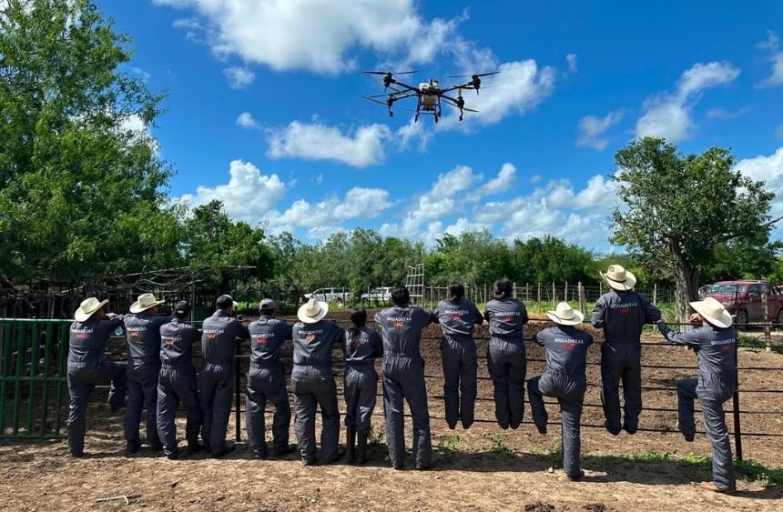 UAT refuerza brigadas contra gusano barrenador en Tamaulipas