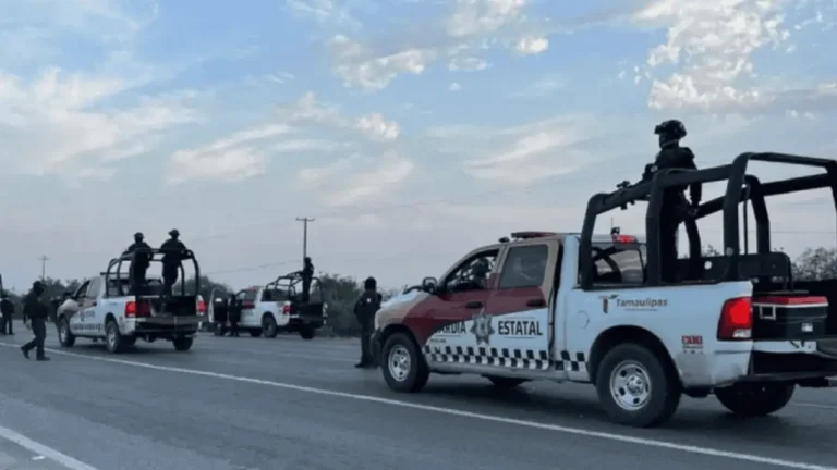 bajan-homicidios-dolosos-en-tamaulipas-segun-el-secretariado-ejecutivo-del-sistema-nacional-de-seguridad-publica-5c4812b0-focus-0-0-1479-828