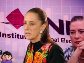 Sheinbaum garantiza estabilidad en el INE tras renuncia de Taddei