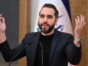 Bukele estudia liberar a la mitad de presos por pandillas en El Salvador