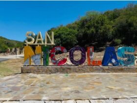Tamaulipas anuncia el Primer Festival del Mezcal 2026 en San Nicolás