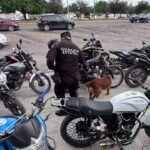 Guardia Estatal realiza operativo antidrogas en ITACE Victoria