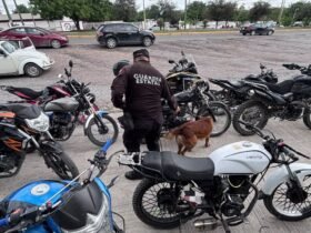 Guardia Estatal realiza operativo antidrogas en ITACE Victoria